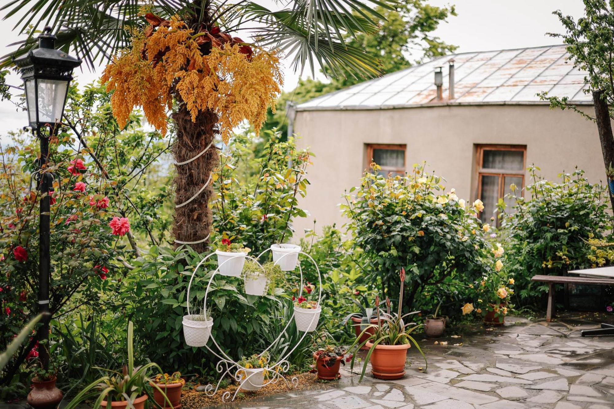 Sighnaghi Garden House Hotel Exterior photo